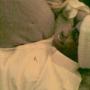 Rodney King Photo 43