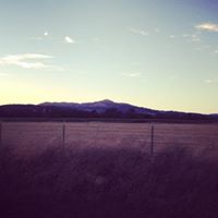 Ross Meyers Photo 5