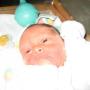 Donna Sommers Photo 20