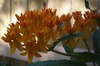 Jennifer Meehan Photo 44