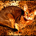 Thelma Browning Photo 7