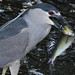 Charles Herring Photo 9