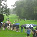 Michael Mickelson Photo 15