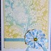 Deborah Stamps Photo 4