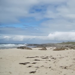 Catherine Browne Photo 28