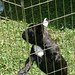 Ruthie Mcdonald Photo 11