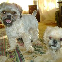 Shirley Tripp Photo 22