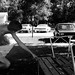 Allison Todd Photo 23
