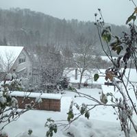 Suzanne Higginbotham Photo 8