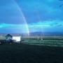 Carol Dougherty Photo 38
