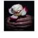 Barbara Hand Photo 8