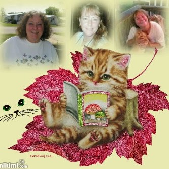Debbie Evans Photo 31