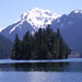 Agnes Johnson Photo 13