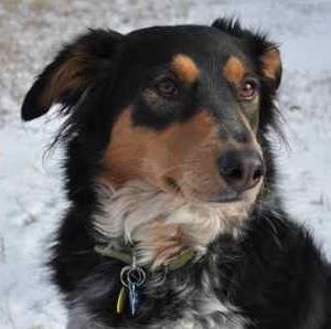 Lori Slater Photo 4