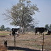 Judy Hale Photo 15