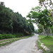 Richard Yang Photo 42