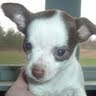 Barbara Wicks Photo 14