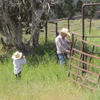 Tammy Meadows Photo 9