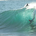 Jason Thorn Photo 7