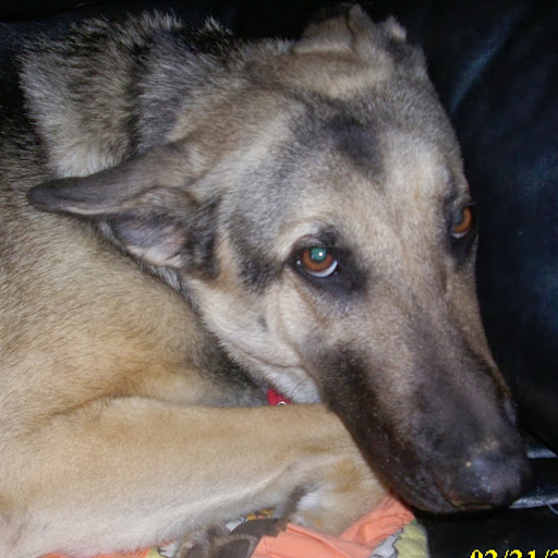 Dale Morgan Photo 3