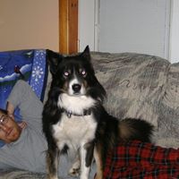 Gloria Simmons Photo 45