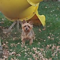 Robin Potter Photo 31