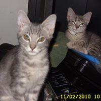 Sharon Vannoy Photo 9