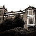 Anne Moody Photo 10