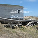 John Elliston Photo 11
