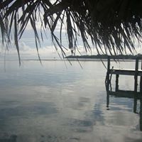 Alicia Meeks Photo 10