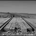 Bob Cross Photo 23