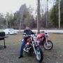 Cindy Casey Photo 29