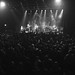 Jason Nichelson Photo 10