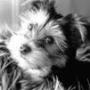 Patricia Dotson Photo 31