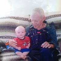 Cindy Gibbs Photo 16