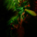 Paul Shortt Photo 31