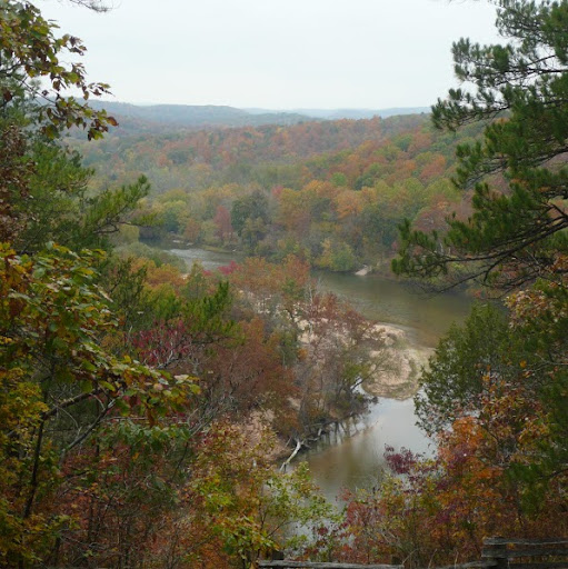 Pauline Reed Photo 31