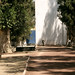 Celia Fuentes Photo 11