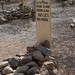 Les Lester Photo 19