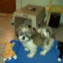 Robert Klem Photo 18