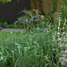 Chelsea Ward Photo 16