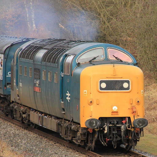Jeff Bird Photo 35