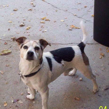 Carla Olson Photo 15