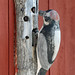 Dennis Clements Photo 15