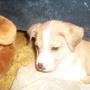 Kelly Keener Photo 15