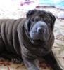 Nancy Krueger Photo 28