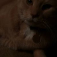 Peter Burleigh Photo 5