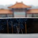 Shan Xu Photo 18