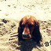 Melissa Coker Photo 23