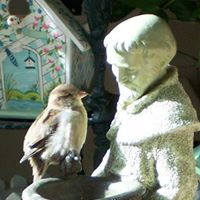 Linda Eddy Photo 12